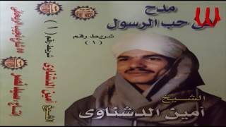امين الدشناوى