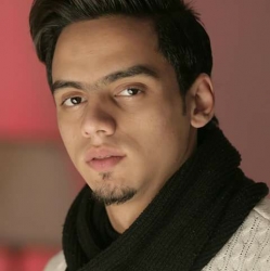 محمد حمدى