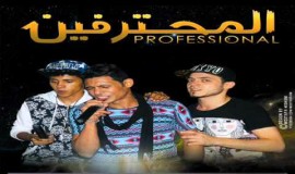 فريق المحترفين