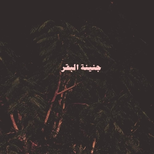 حياتي ابيوسف